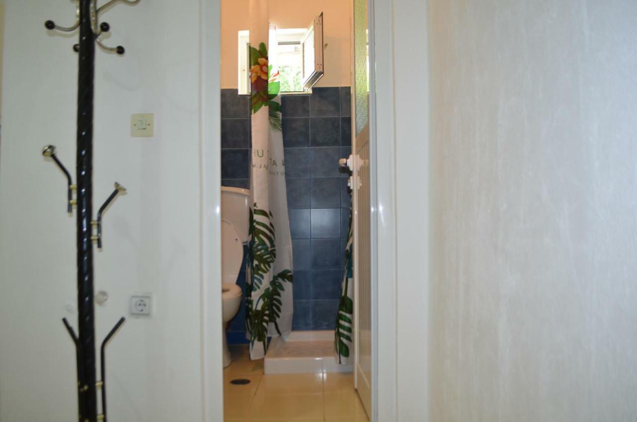 Apartment Viktor *